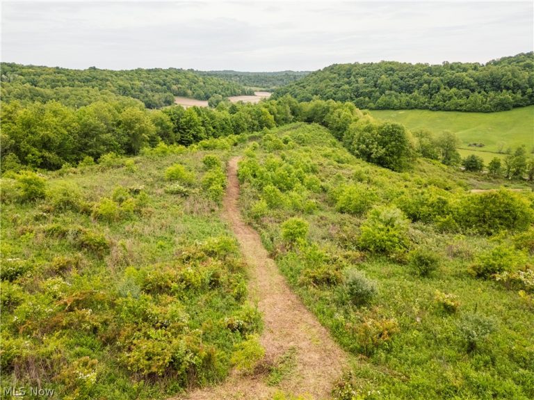 Barkley Road, Uhrichsville, OH - Photo 4