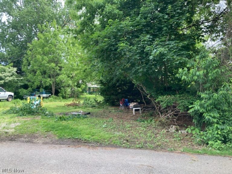 316 Snyder Place, Massillon, OH - Photo 4