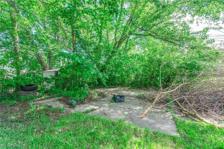 8005 Vineyard Avenue, Cleveland, OH - Photo 8