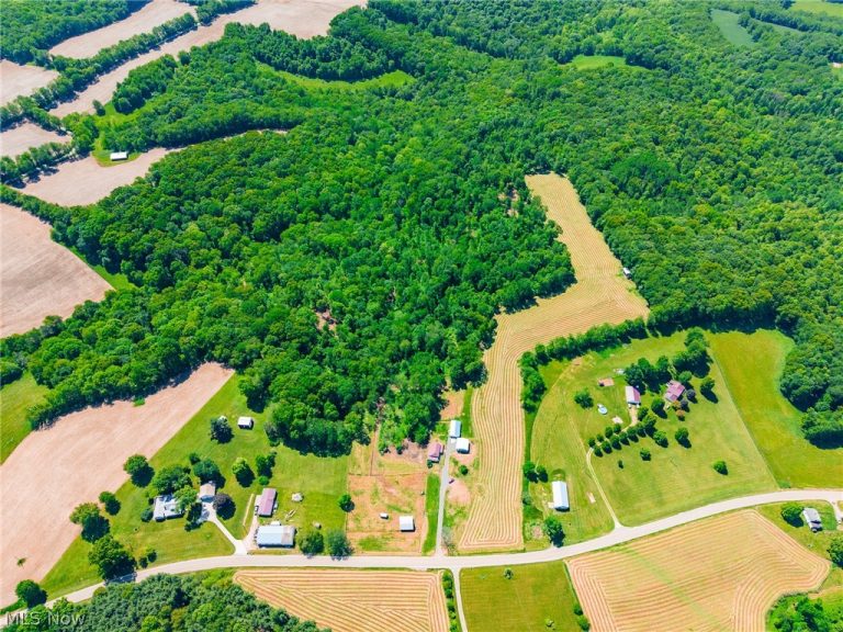 3188 Amsterdam Road, Scio, OH - Photo 5