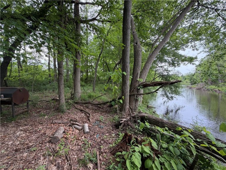 9098 Diagonal Road, Streetsboro, OH - Photo 8