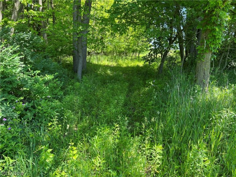 Shaw Road, Spencer, OH - Photo 6