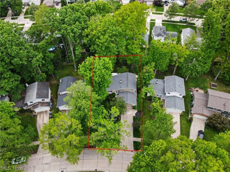 6536 Duneden Avenue, Solon, OH - Photo 3