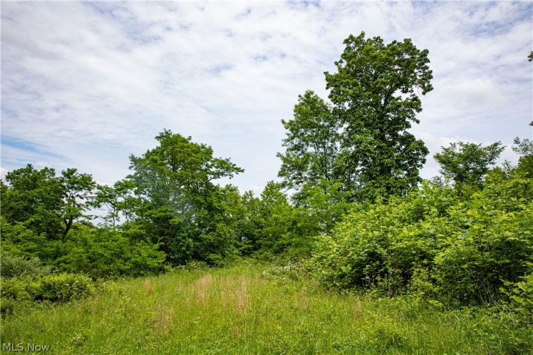52740 Cr 425, Fresno, OH - Photo 3