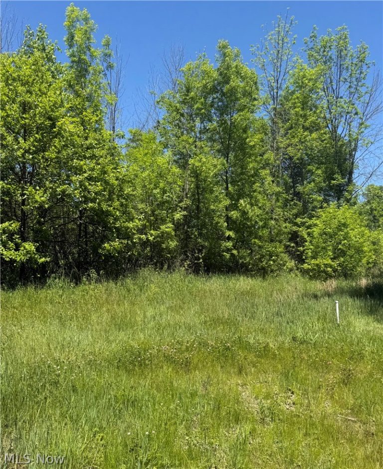Thornberry Drive, North Lima, OH, 44452
