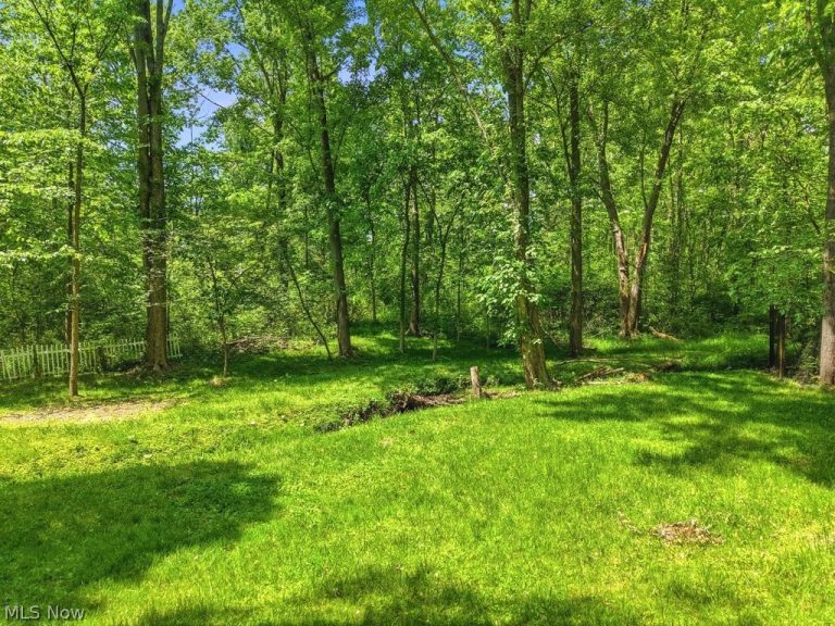 265 Ravenna Street, Hudson, OH - Photo 6