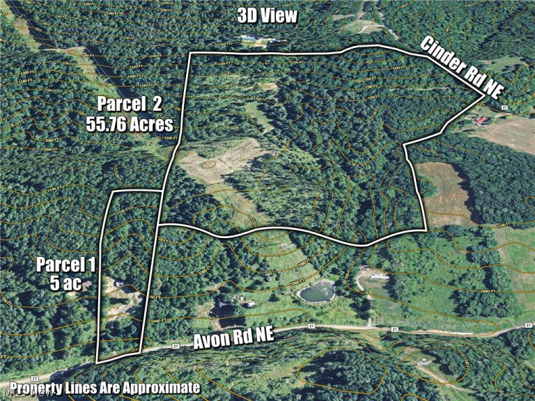 7220 Avon Road, Carrollton, OH - Photo 8
