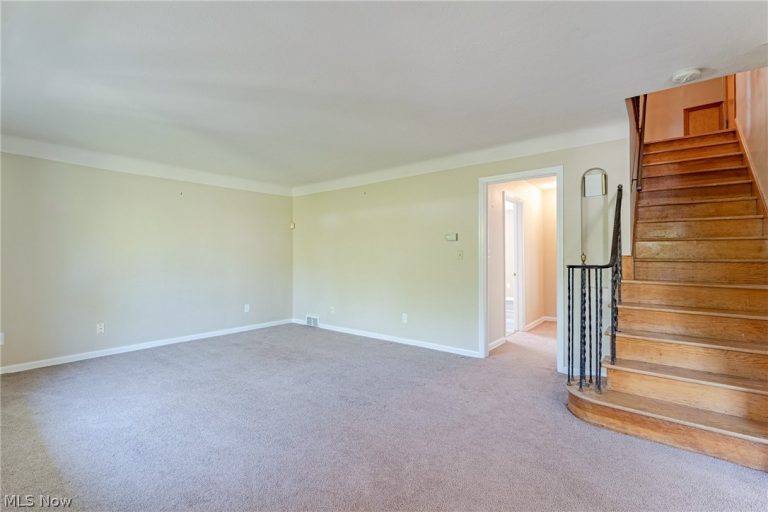 3666 Silsby Road, University Heights, OH - Photo 3