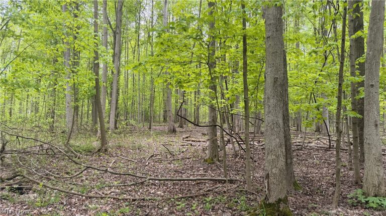 Munson Hill Road, Ashtabula, OH - Photo 5