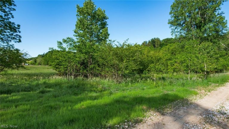 5911 Reform Road, Newark, OH - Photo 4