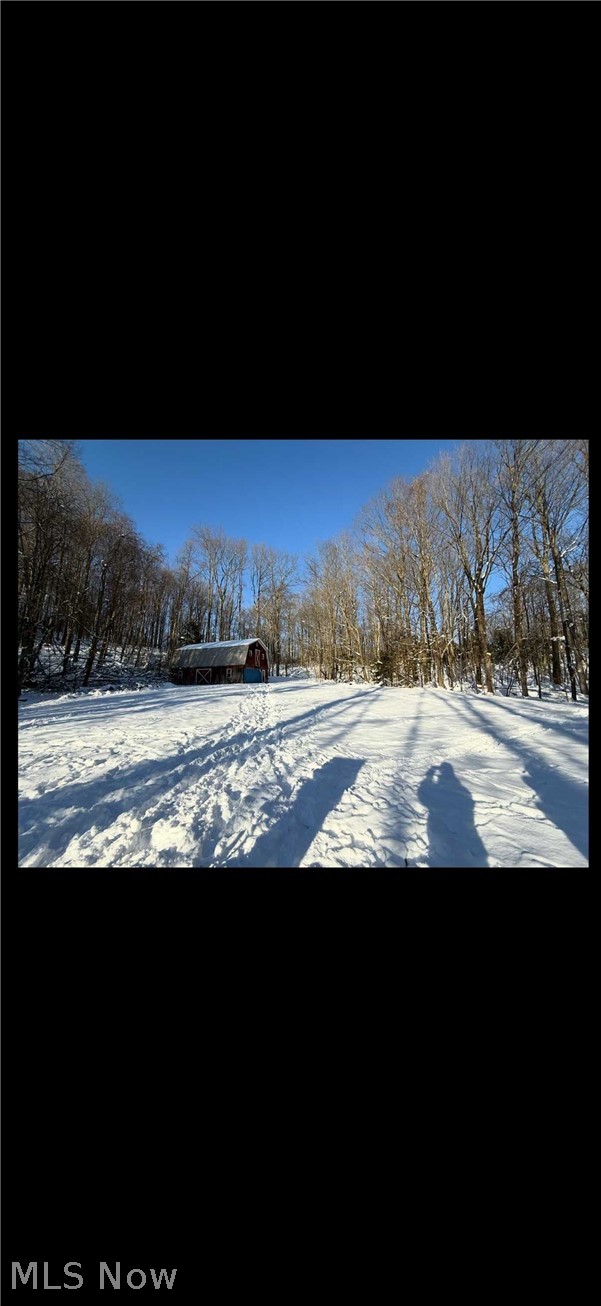 Winterberry Lane, Chardon, OH - Photo 2