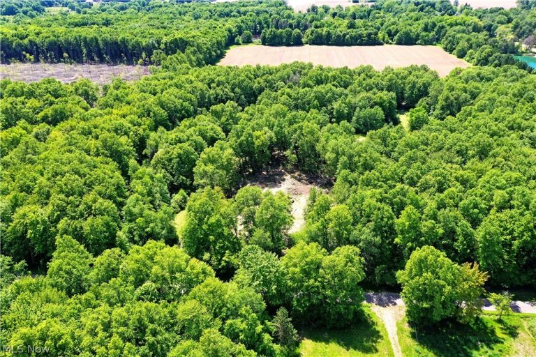 Mahan Denman Road, Bristolville, OH - Photo 8