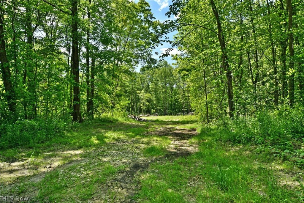 Mahan Denman Road, Bristolville, OH