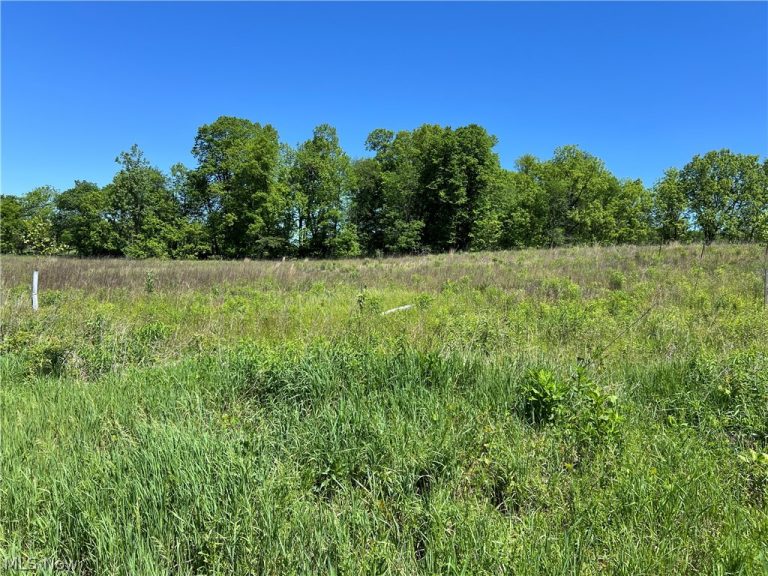 Shaw Road, Spencer, OH - Photo 4