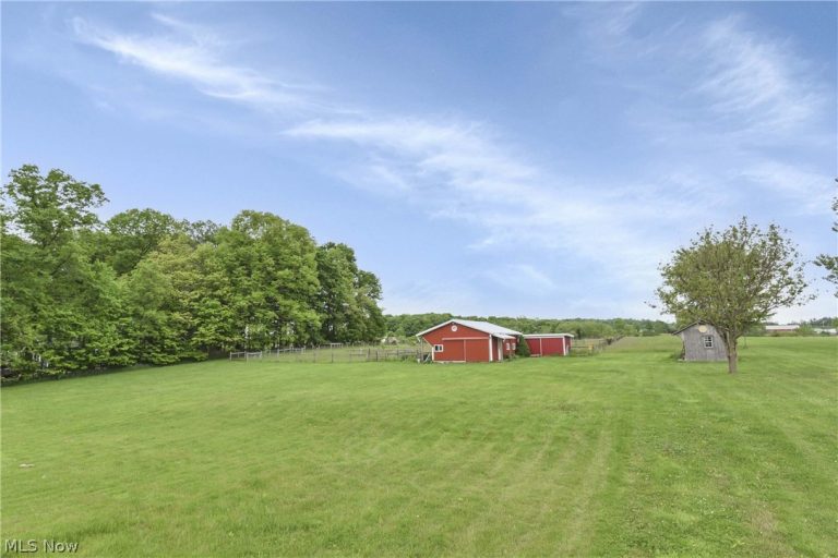 10615 Elyria Road, West Salem, OH - Photo 8