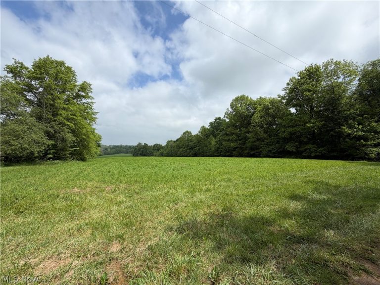 8416 Township Road 551, Shreve, OH - Photo 3