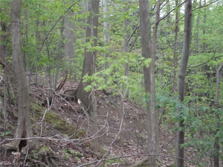 Daniels Avenue, Conneaut, OH - Photo 6