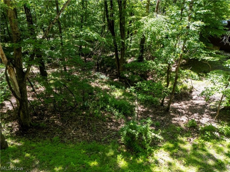16135 Township Road 211 #477-478-479, Loudonville, OH - Photo 2