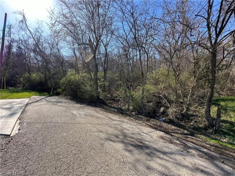 Cliffside Avenue, Parkersburg, WV, 26101