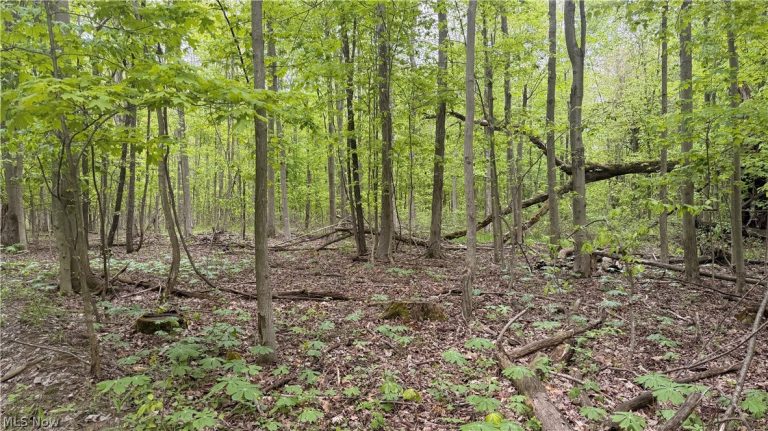 Munson Hill Road, Ashtabula, OH - Photo 4