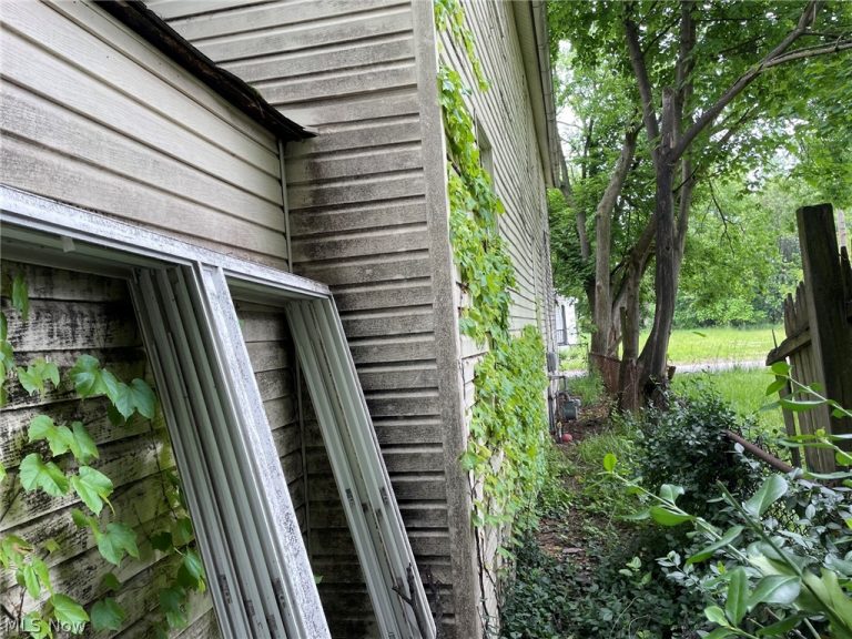 8018 Platt Avenue, Cleveland, OH - Photo 4