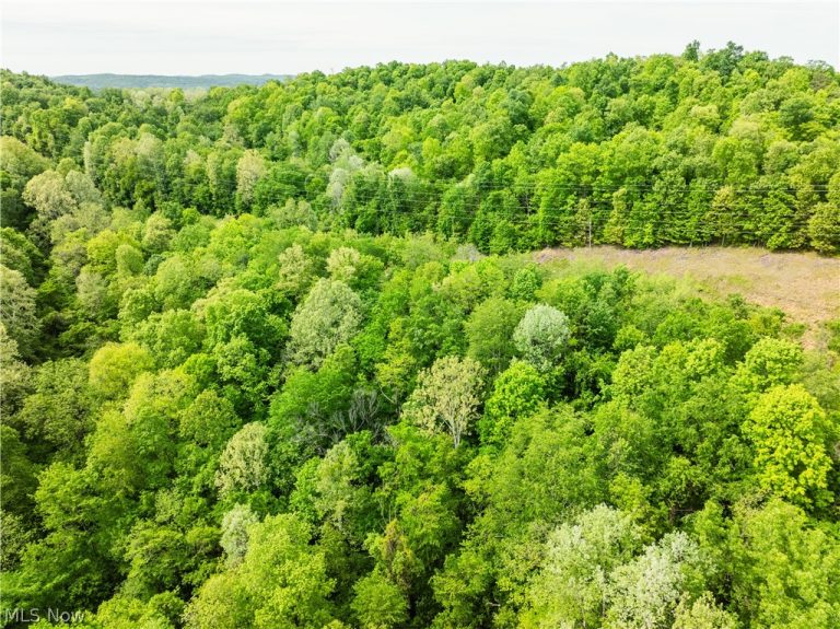 Edie Hill Road, Uhrichsville, OH - Photo 8
