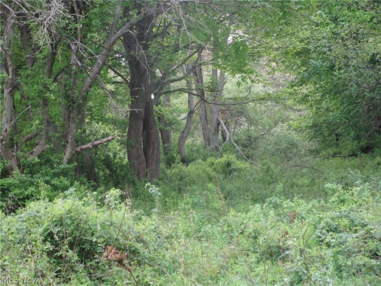 Daniels Avenue, Conneaut, OH, 44030