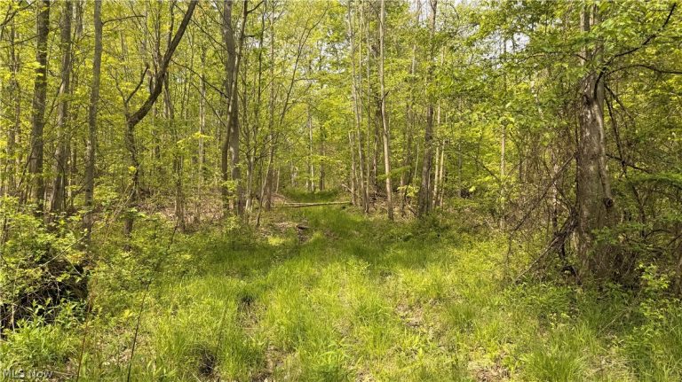Munson Hill Road, Ashtabula, OH - Photo 6