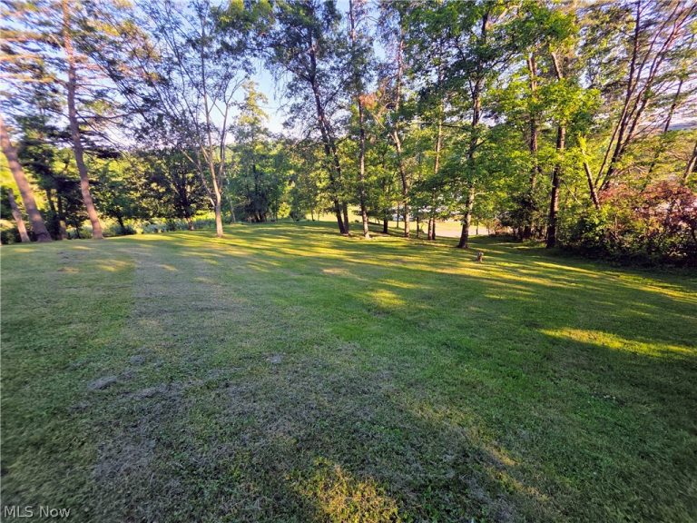 331 Concord Street, Harrisville, WV - Photo 8