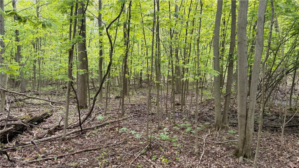 Munson Hill Road, Ashtabula, OH