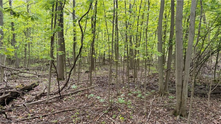 Munson Hill Road, Ashtabula, OH, 44004