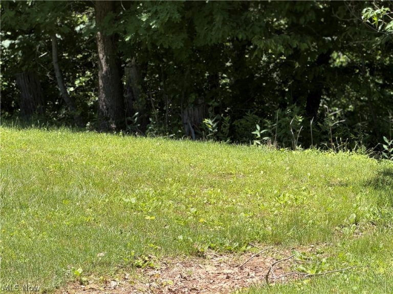 345 Tower, Elizabeth, WV - Photo 4