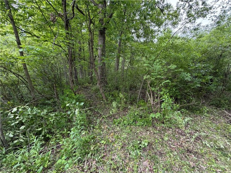 Dayton Road, Madison, OH - Photo 3