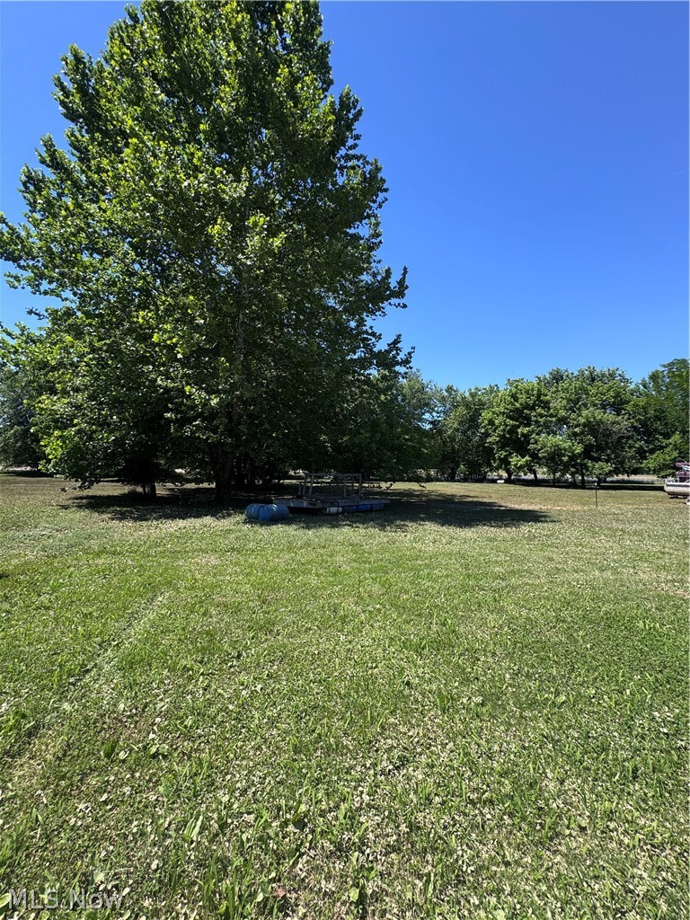 Shady Lane, Blue Rock, OH - Photo 4