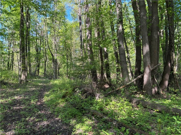 6060 Dalton Fox Lake Road, North Lawrence, OH - Photo 3