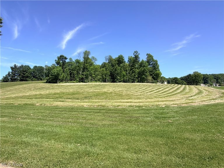 Banks Avenue, Loudonville, OH - Photo 3