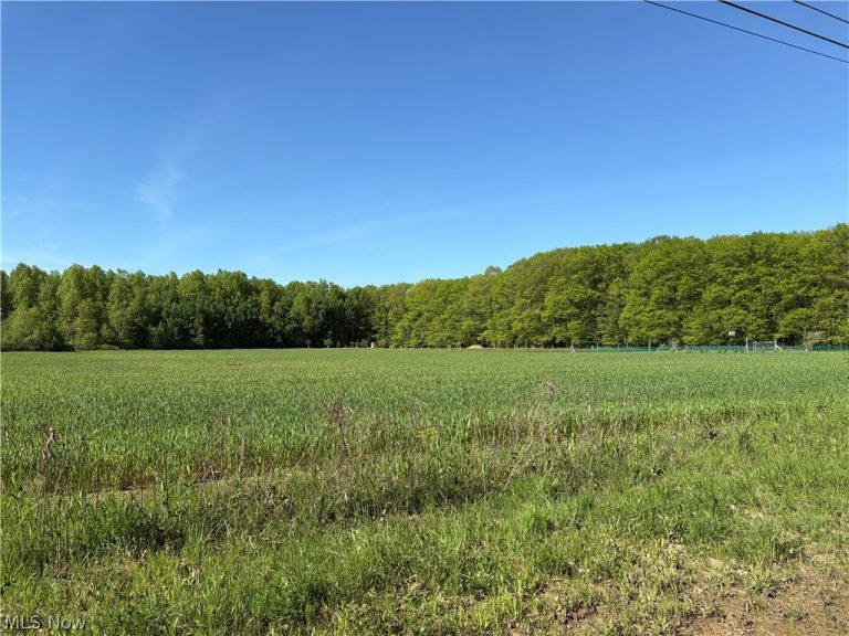 VL Laskey Road, Rome, OH - Photo 2