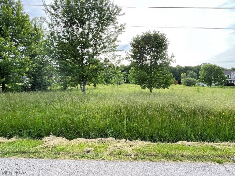 185 Horning Road, Atwater, OH - Photo 2