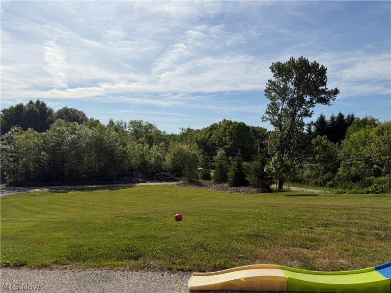 13166 Butternut Road, Burton, OH - Photo 6