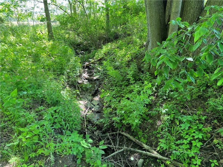 Shaw Road, Spencer, OH - Photo 2