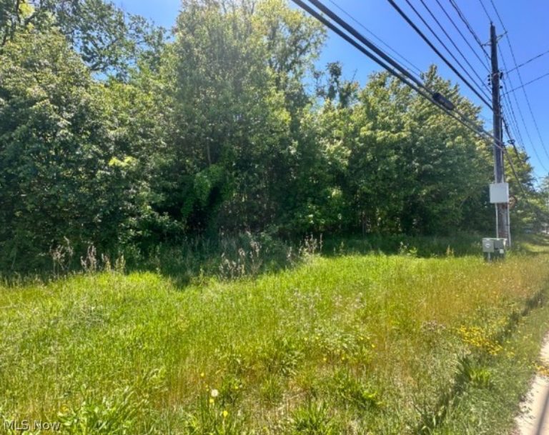 Ridge Road, Madison, OH - Photo 4