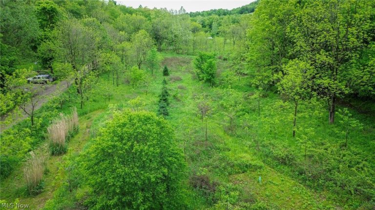 Tr 88, Coshocton, OH - Photo 8