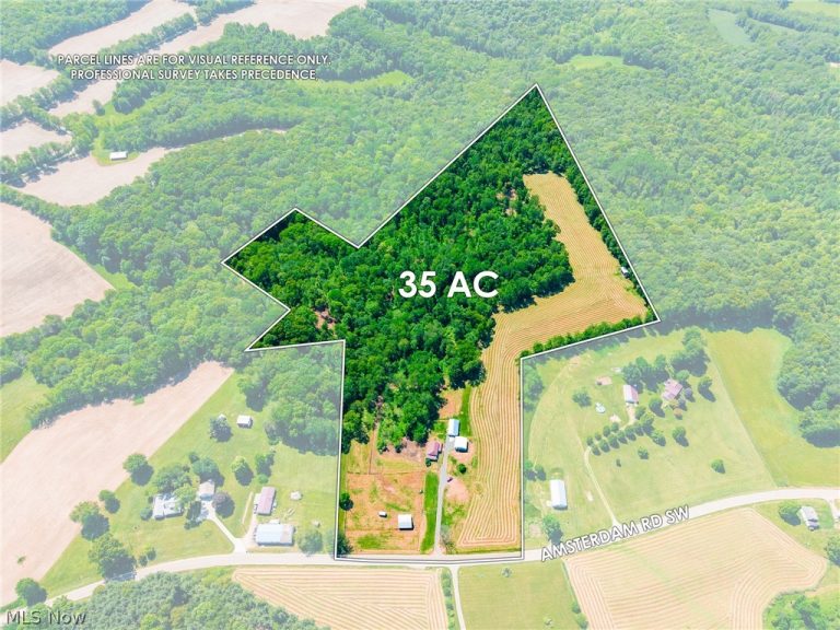 3188 Amsterdam Road, Scio, OH - Photo 8