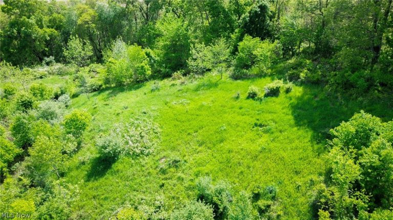 Degen Road, Stone Creek, OH - Photo 4