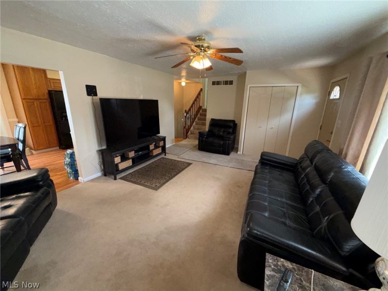 4828 New Road, Austintown, OH - Photo 8
