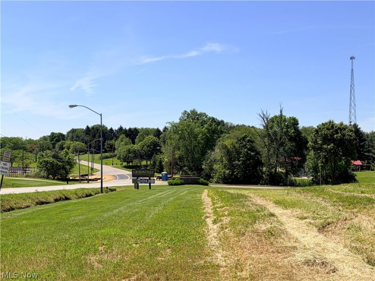 Banks Avenue, Loudonville, OH - Photo 8