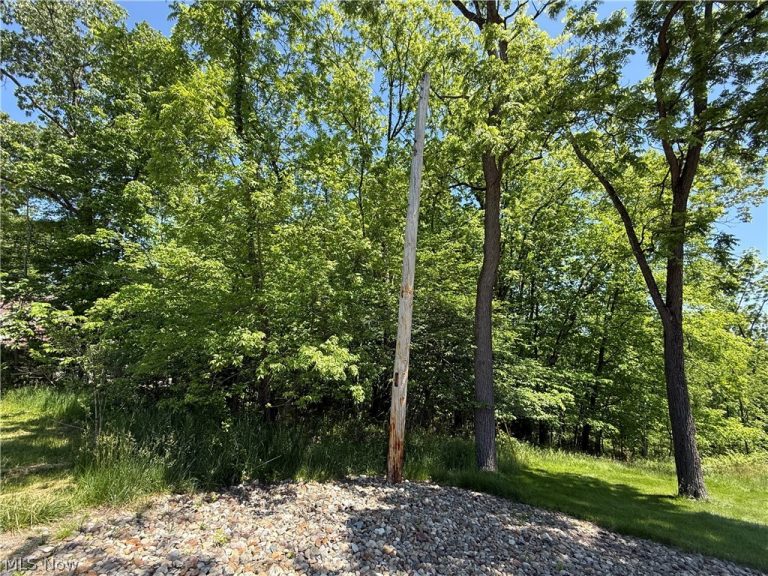 66 Delaware Trail, Malvern, OH - Photo 3