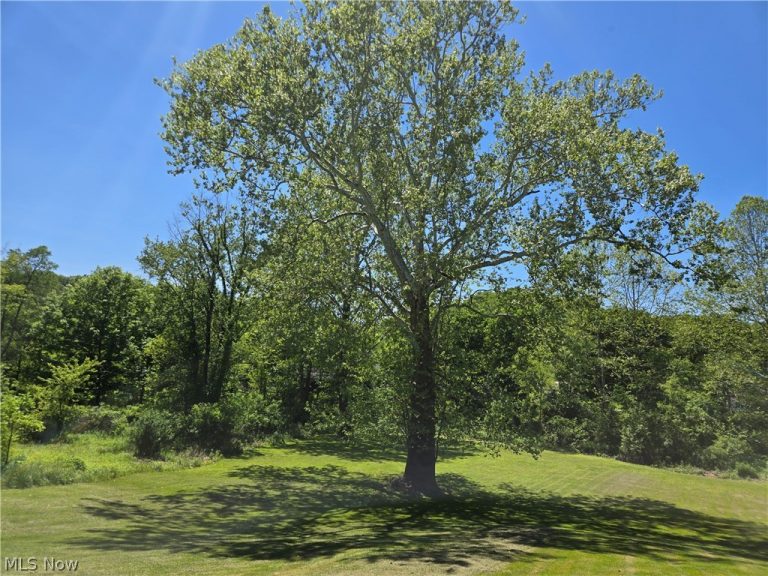 201 Ridgewood Drive, Amsterdam, OH - Photo 4