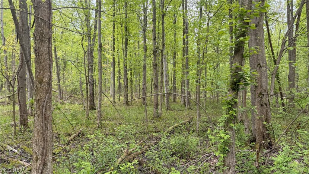 Munson Hill Road, Ashtabula, OH