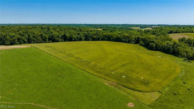 10550 Amish Ridge Road, Mount Perry, OH - Photo 3